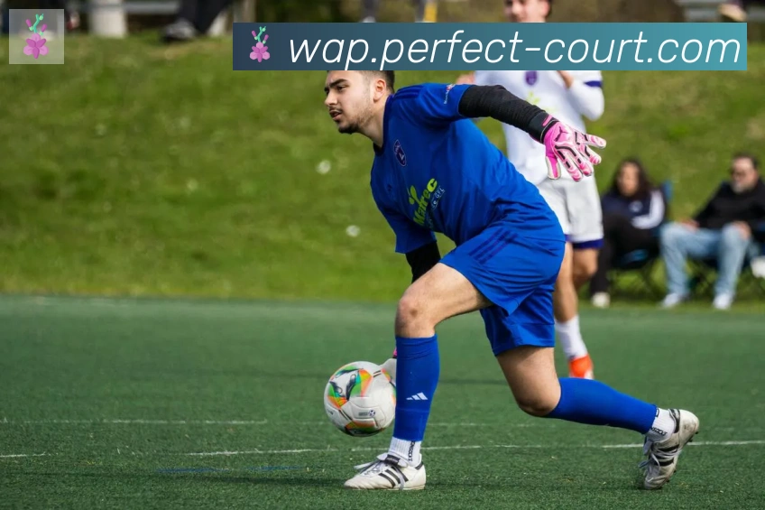 开云体育APP 封面图