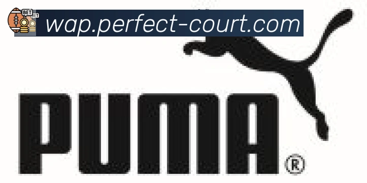 开云体育合作伙伴