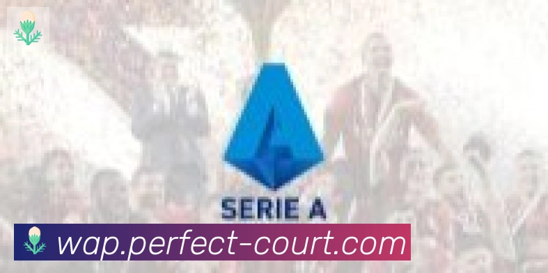 开云体育合作伙伴