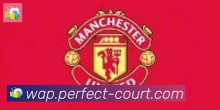 开云体育合作伙伴