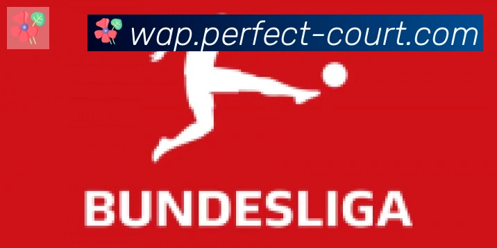 开云体育合作伙伴