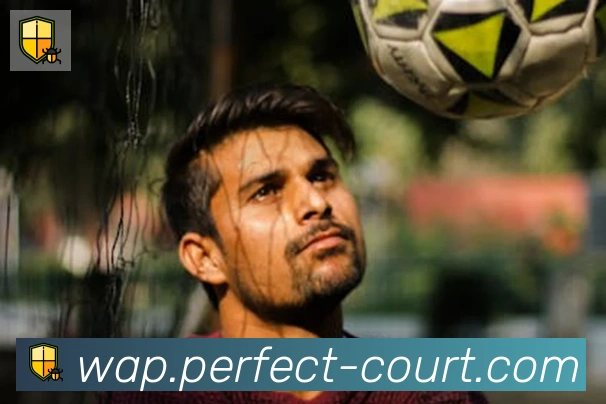 开云体育全站App